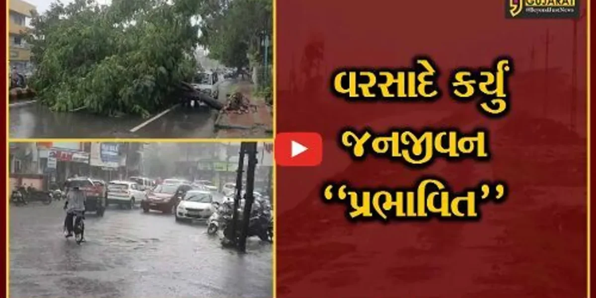 નવસારી : વહેલી સવારથી જ વરસાદ વરસતા જનજીવન પ્રભાવિત, ક્યાક વૃક્ષો ધરાશાયી તો ક્યાક ભરાયા પાણી