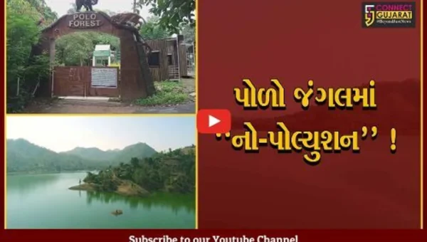 સાબરકાંઠા: પોળો જંગલોમાં હવેથી પેટ્રોલ-ડીઝલની કાર નહીં ચાલે, ડેમ સાઈટ સહિતના વિસ્તારમાં જવા ઈ-રીક્ષા બનશે સહારો