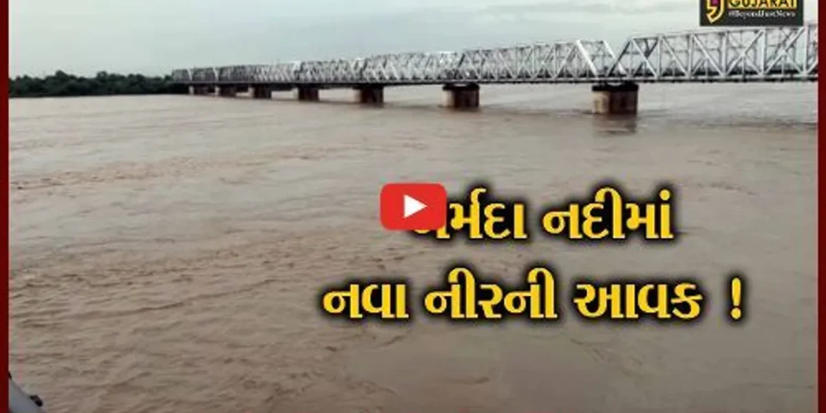 ભરૂચ: ઉપરવાસમાં વરસેલ ભારે વરસાદના કારણે ગોલ્ડનબ્રિજ નજીક નર્મદા નદીના જળ સ્તરમાં વધારો