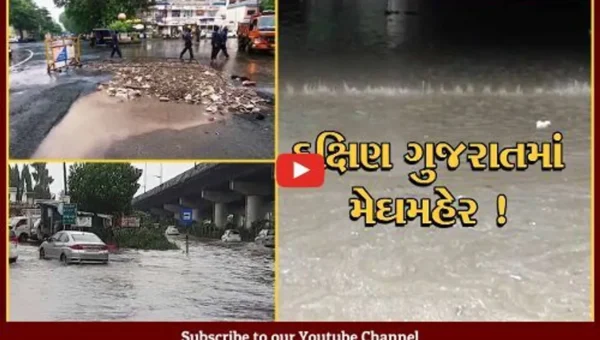 નવસારી: ભારે વરસાદના કારણે ઠેર ઠેર પાણી ભરાયા, જનજીવન પ્રભાવિત