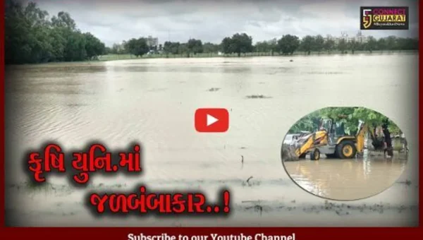 ભરૂચ: મુશળધાર વરસાદના કારણે મકતમપુર નજીકના કૃષિ યુનિવર્સિટીના ખેતરમાં પાણી ફરી વળ્યું