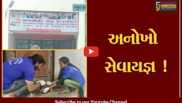 ભરૂચ: પરિખ પરિવારના પુત્રનું કેન્સરના કારણે નિધન થયા બાદ શરૂ થયો સેવાયજ્ઞ, 7 હજાર અબોલ પશુઓની કરાય સારવાર