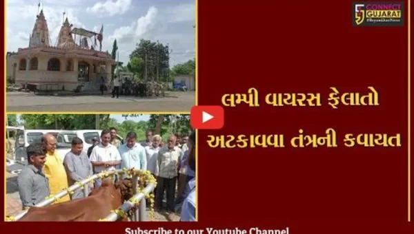 ભરૂચ : પશુઓમાં પ્રસરી રહેલા લમ્પી સ્કિન રોગ સામે વેકસીનેશન અભિયાન દૂધધારા ડેરીના ચેરમેન ઘનશ્યામ પટેલના હસ્તે કરાયું