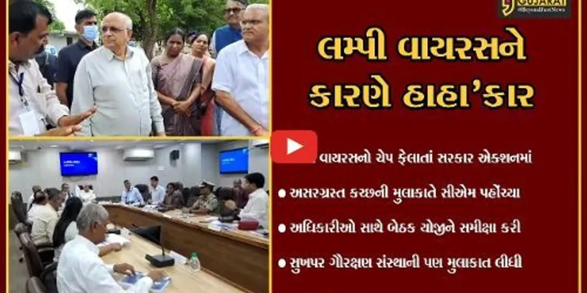 CM ભૂપેન્દ્ર પટેલ લમ્પી વાયરસથી અસરગ્રસ્ત કચ્છની મુલાકાતે, રસીકરણની કામગીરીનું કર્યું નિરીક્ષણ