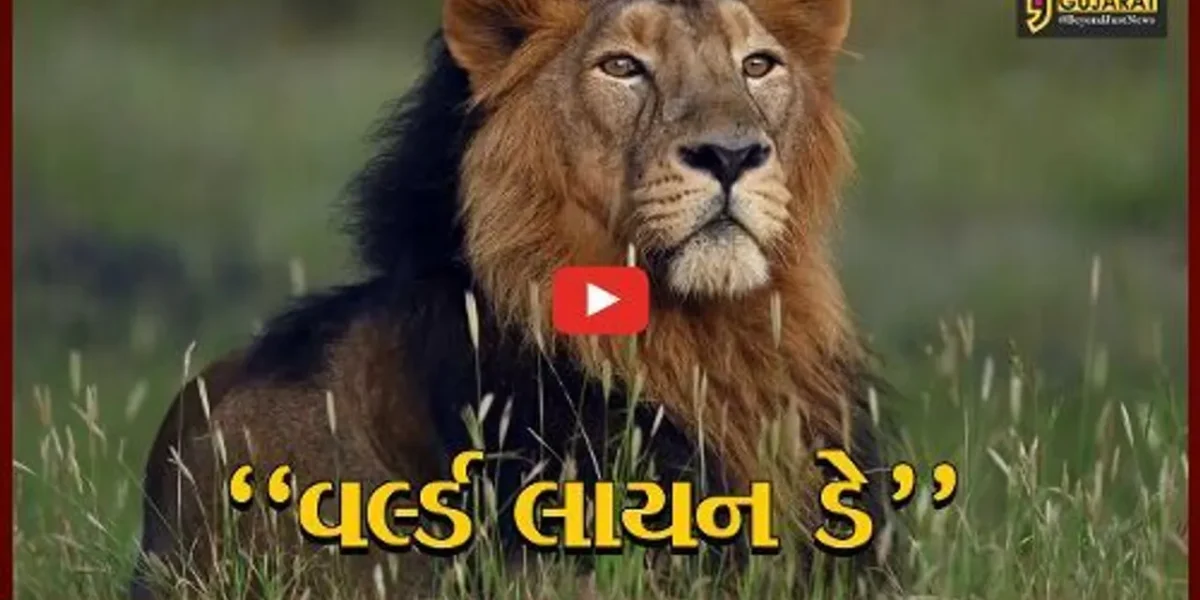 ગાંધીનગર : વિશ્વ સિંહ દિવસ અંતર્ગત મુખ્યમંત્રીની અધ્યક્ષતામાં બેઠક મળી, સિંહ સંરક્ષણ-સંવર્ધન માટે રાજ્ય સરકાર કટિબદ્ધ : CM