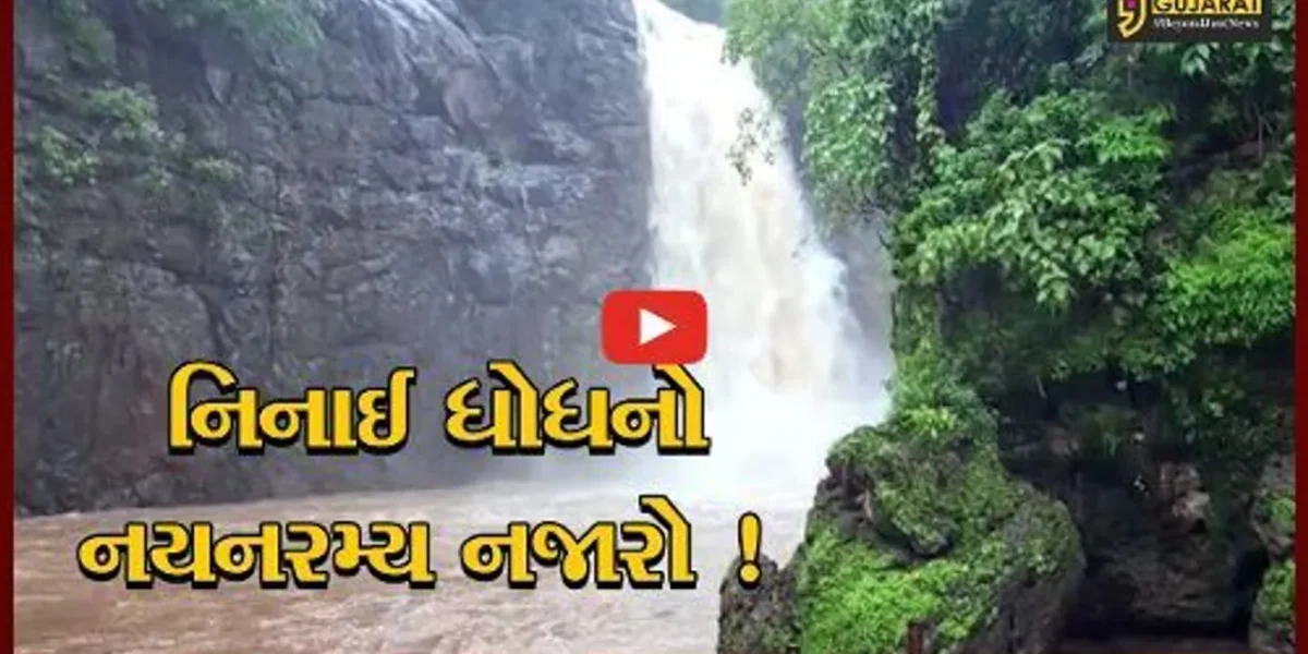 નર્મદા:નિનાઈ ધોધનો અદભુત નજારો, ઝરણામાંથી 70 મીટર ઊંચાઈથી પાણી વહેતા પ્રવાસીઓમાં આકર્ષણનું કેન્દ્ર
