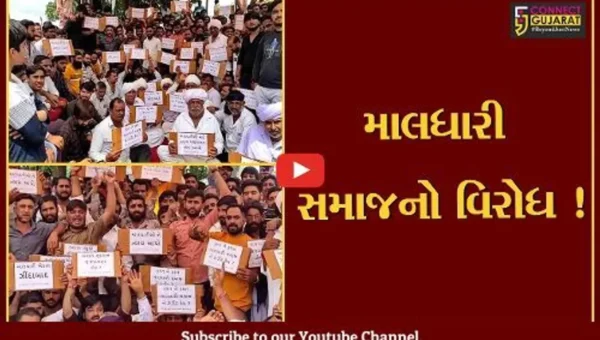 સુરત: રખડતા ઢોર પકડવાની કાર્યવાહી સામે માલધારી સમાજનો વિરોધ,જુઓ તંત્ર પર કેવા કરાયા આક્ષેપ