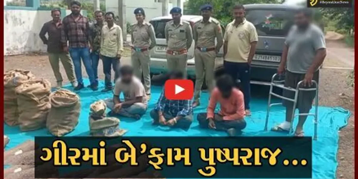 અમરેલી : રાજસ્થાની ગેંગના “પુષ્પરાજો” ગીરના જંગલોમાંથી કરતાં હતા ચંદનના વૃક્ષોની તસ્કરી, જુઓ વનવિભાગની કાર્યવાહી…