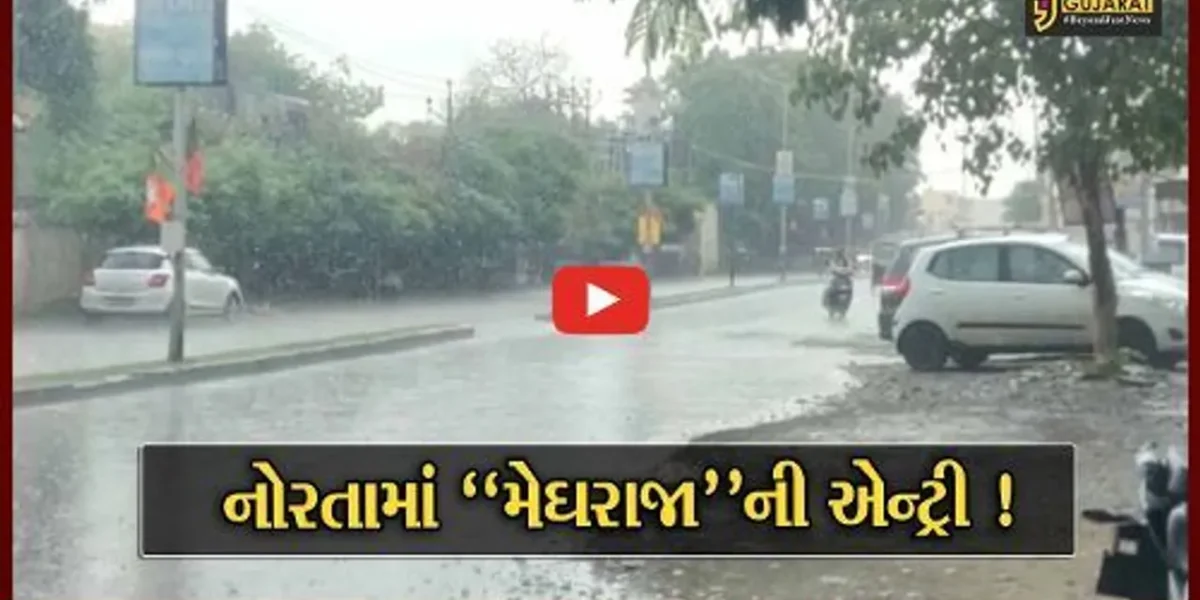 ભરૂચ-અંકલેશ્વરમાં નવરાત્રી દરમ્યાન વરસાદની એન્ટ્રી, ગરબા આયોજકો અને ખેલૈયાઓ મૂંઝવણમાં