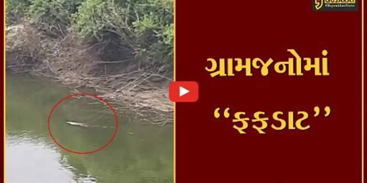 ભરૂચ : વિડિયો “વાઇરલ”, આમોદના કોબલા ગામે મગર એક વ્યક્તિને પાણીમાં ખેંચીને લઈ ગયો