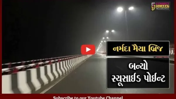 ભરૂચ:નર્મદા મૈયા બ્રિજ પરથી પ્રેમીએ પ્રેમિકા સામે જ નદીમાં લગાવી મોતની છલાંગ