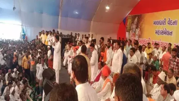 ગાંધીનગર:૨૧ તારીખે માલધારી સમાજ દૂધ નહીં ભરે,વિધાનસભાના ઘેરાવાની ચીમકી પણ ઉચ્ચારાય