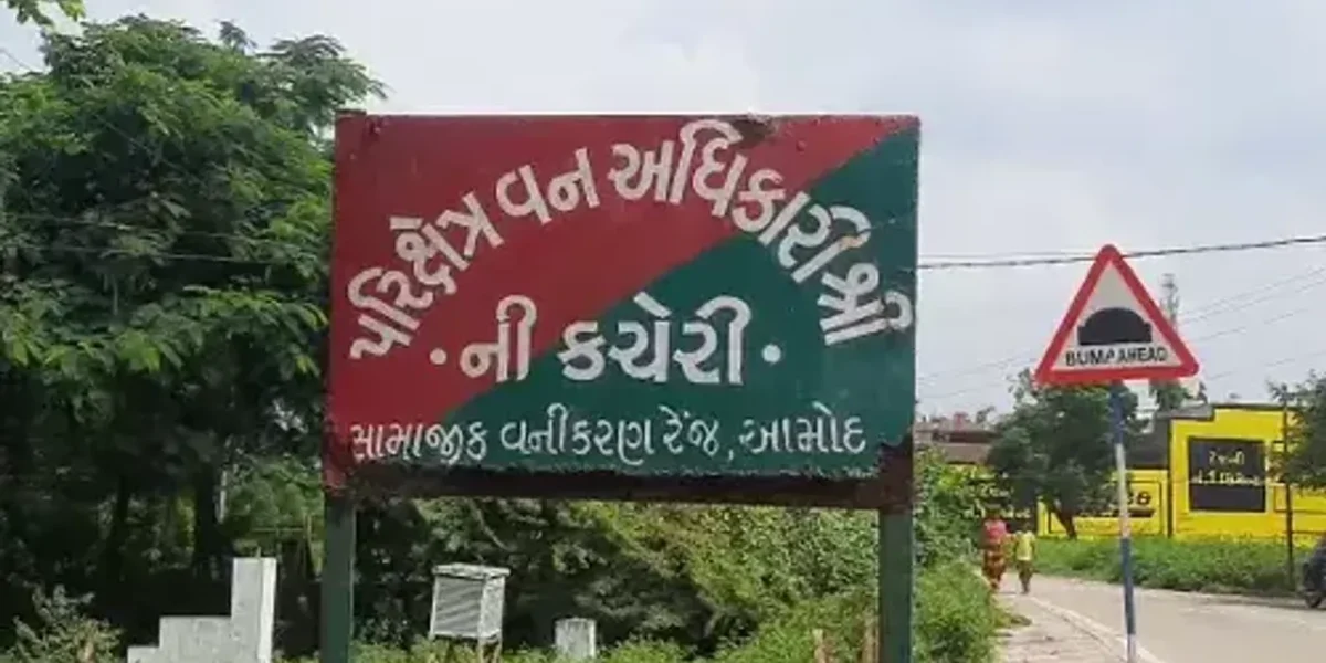 ભરૂચ: ઇખર ગામે સસલાનો શિકાર કરનાર 7 લોકોને વન વિભાગે રૂ.1.75 લાખનો દંડ ફટકાર્યો