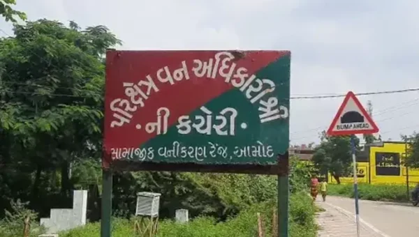 ભરૂચ: ઇખર ગામે સસલાનો શિકાર કરનાર 7 લોકોને વન વિભાગે રૂ.1.75 લાખનો દંડ ફટકાર્યો