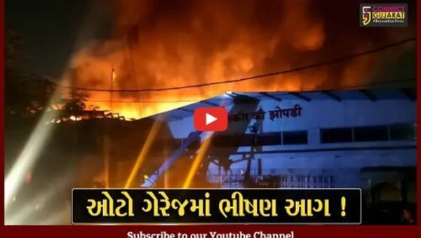 વડોદરા: ઓટો ગેરેજમાં ભીષણ આગ, ઓઇલવાળા સ્ક્રેપમાં આગ લાગતા વિકરાળ સ્વરૂપ ધારણ કર્યું
