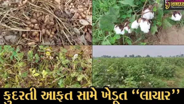 સાબરકાંઠા : પાછોતરો વરસાદ વરસતા ખેતી-પાકોમાં નુકસાન જવાની ભીતિ, ખેડૂતો બન્યા ચિંતિત…