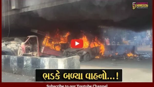 સુરત : ડિંડોલીમાં બ્રિજ નીચે પાર્ક કરેલા વાહનો ભડકે બળ્યા, ફટાકડાથી આગ લાગી હોવાનું અનુમાન..!