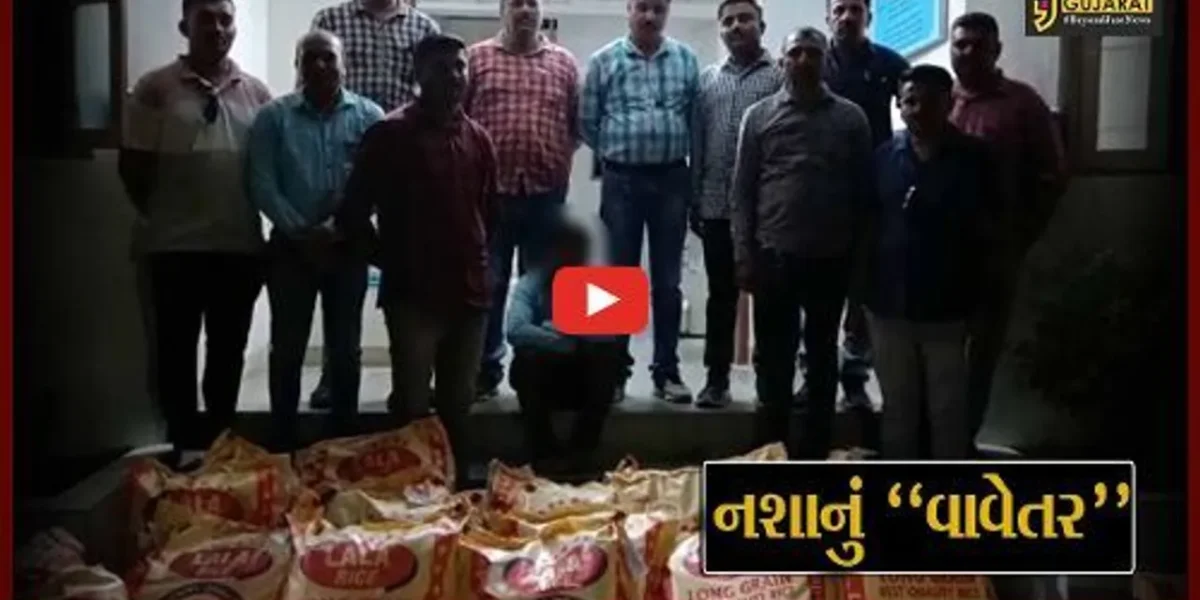 ભાવનગર : કપાસ-બાજરીના પાકની આડમાં કરેલું ગાંજાનું વાવેતર ઝડપાયું, રૂ. 7 લાખનો મુદ્દામાલ જપ્ત…