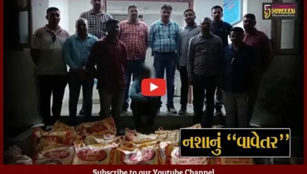ભાવનગર : કપાસ-બાજરીના પાકની આડમાં કરેલું ગાંજાનું વાવેતર ઝડપાયું, રૂ. 7 લાખનો મુદ્દામાલ જપ્ત…