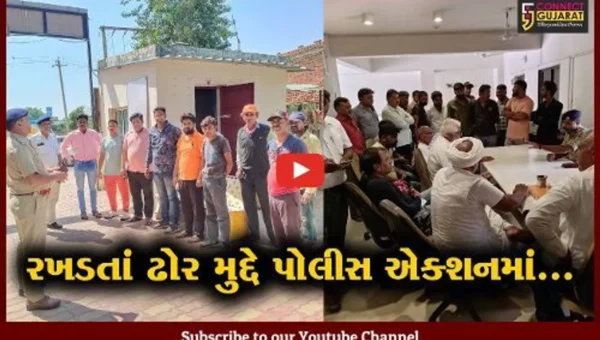 અમદાવાદ : હાઈકોર્ટના આદેશ બાદ ટ્રાફિક પોલીસની કામગીરી, રખડતાં ઢોર મુદ્દે 79 કેસ દાખલ કર્યા…