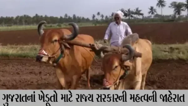 ગુજરાતના ખેડૂતો માટે રાજ્ય સરકારની મહત્વની જાહેરાત, 630 કરોડનું સહાય પેકેજ જાહેર