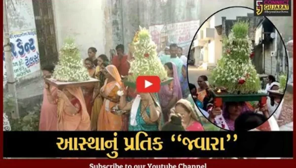 અંકલેશ્વર : દશેરા પર્વ નિમિત્તે ભાલીયા-કોળી પટેલ સમાજ દ્વારા જ્વારાનું વિસર્જન કરાયું…