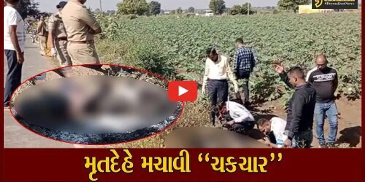 સાબરકાંઠા : અર્ધ સળગેલી હાલતમાં યુવતીનો મૃતદેહ મળી આવતા ચકચાર, પોલીસ દોડતી થઇ…