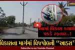 શું આને કહેવાશે વિકાસ..?, યમદૂત સમાન ભાવનગરના રોડ વચ્ચોવચ ઊભેલા વિજ થાંભલાથી અકસ્માતોને નોતરું..!