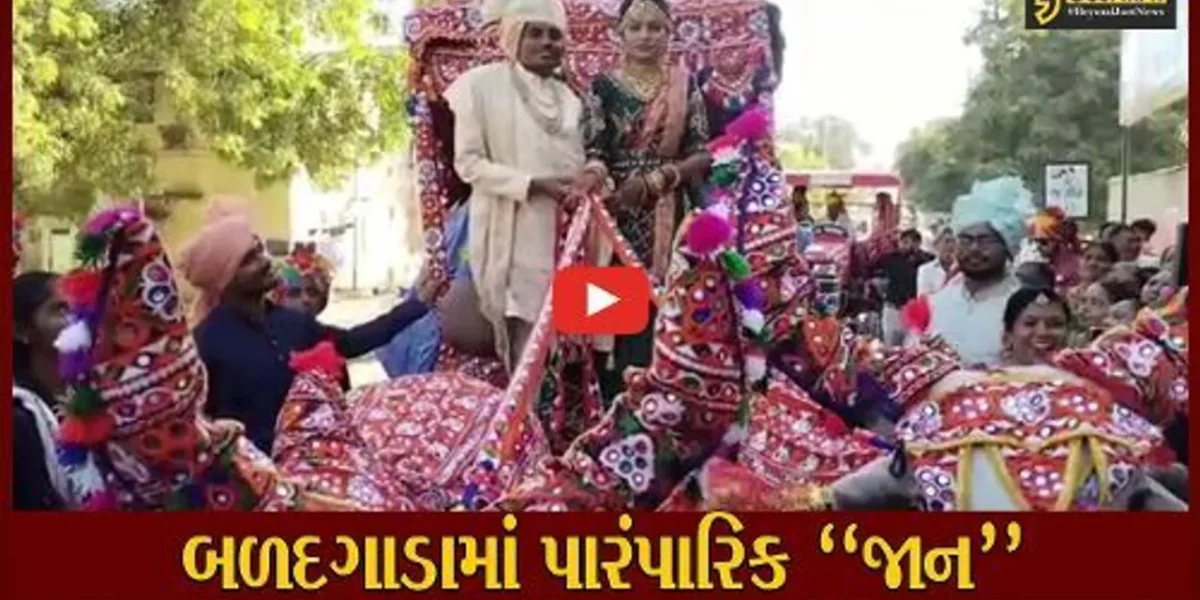 સુરેન્દ્રનગર : જુનવાણી રિતરીવાજો સાથે બળદ ગાડામાં નીકળી વરરાજાની જાન, લોકોમાં જમાવ્યું ભારે આકર્ષણ