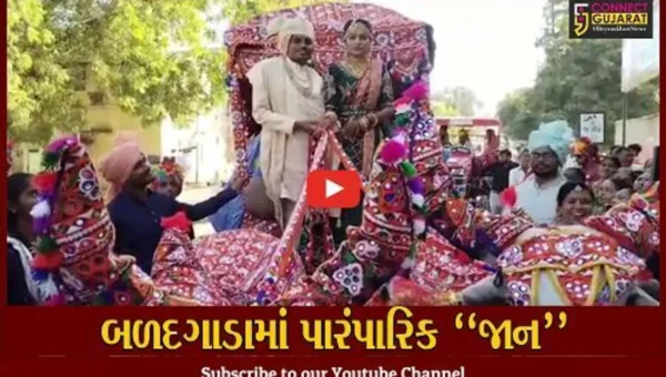 સુરેન્દ્રનગર : જુનવાણી રિતરીવાજો સાથે બળદ ગાડામાં નીકળી વરરાજાની જાન, લોકોમાં જમાવ્યું ભારે આકર્ષણ