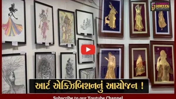વડોદરા: વર્લ્ડ ઓફ ફીલિંગ્સ આર્ટ એક્ઝિબિશન યોજાયું,16 આર્ટિસ્ટે ક્લાકૃતિ કરી રજૂ