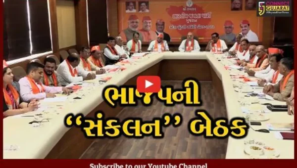 ગાંધીનગર : ચૂંટણીની તારીખો જાહેર થતાં જ ભાજપમાં બેઠકોનો દૌર શરૂ, ગૃહમંત્રી અમિત શાહની અધ્યક્ષતામાં મળી સંકલન બેઠક