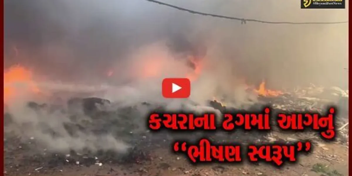 સુરત : સીંગણપોર નજીક કચરાના ઢગલામાં લાગી ભીષણ આગ, ફાયર ફાઇટરો દોડ્યા…