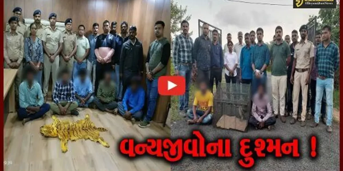 વડોદરા: વનવિભાગ અને જીવદયા પ્રેમીઓએ વાઘ-દીપડાના ચામડા સાથે 27 લોકોને ઝડપી પાડ્યા