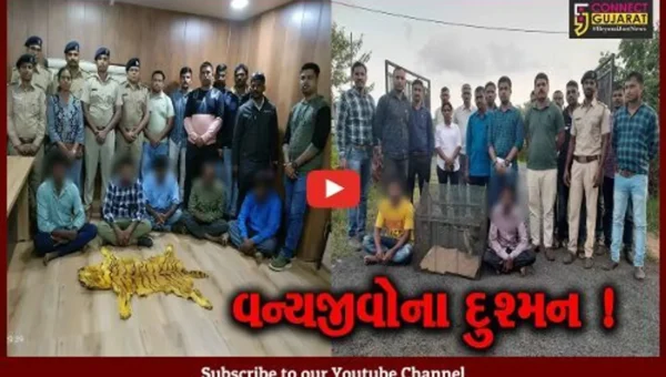 વડોદરા: વનવિભાગ અને જીવદયા પ્રેમીઓએ વાઘ-દીપડાના ચામડા સાથે 27 લોકોને ઝડપી પાડ્યા