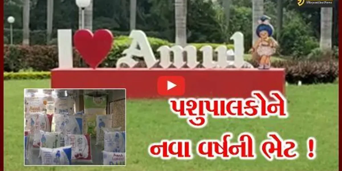 આણંદ: અમુલ દ્વારા પશુપાલકોને નવા વર્ષની આપવામાં આવી ભેટ, જુઓ દૂધના ખરીદ ભાવમાં કેટલા રૂપિયાનો કરાયો વધારો