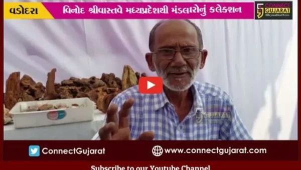 વડોદરા : લ્યો બોલો… અહીના પથ્થરો તો જાણે બોલે છે, જોઈને તમે પણ થઈ જશો સ્તબ્ધ..!