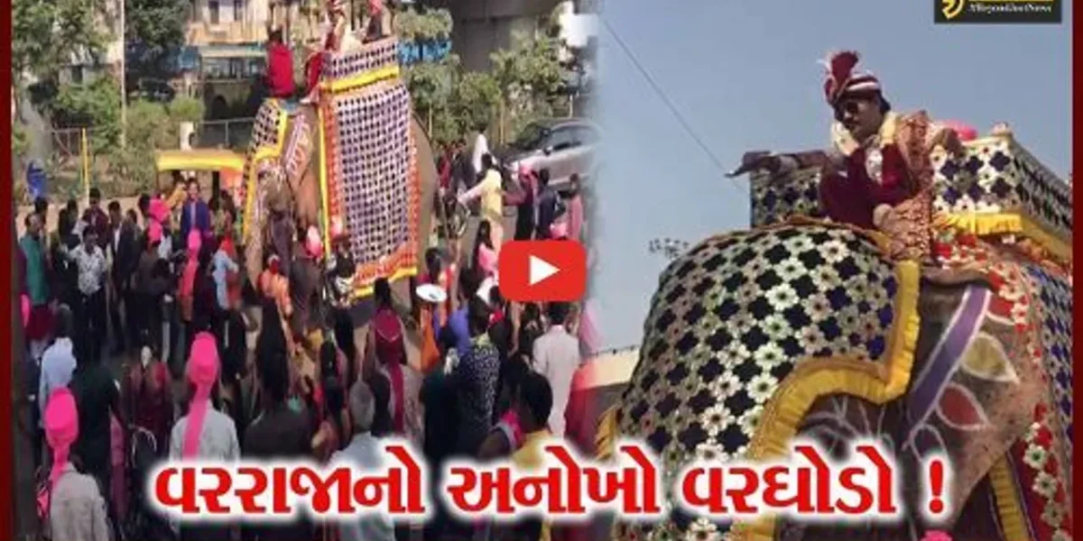અમદાવાદ:વરરાજા હાથીની અંબાડી પર સવાર થઈ કન્યાને પરણવા નિકળ્યા,લોકોમાં જમાવ્યું આકર્ષણ
