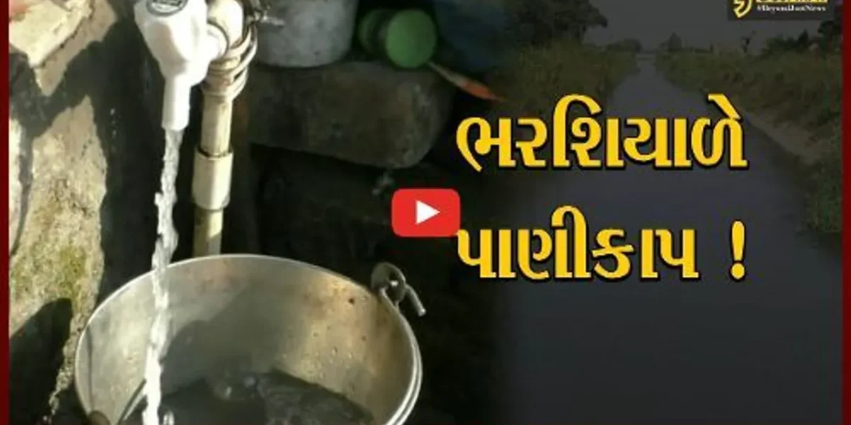 નવસારી: ભરશિયાળે પણ સિંચાઈ વિભાગ દ્વારા પાણી કાપ અપાતા જીલ્લાવાસીઓ પરેશાન