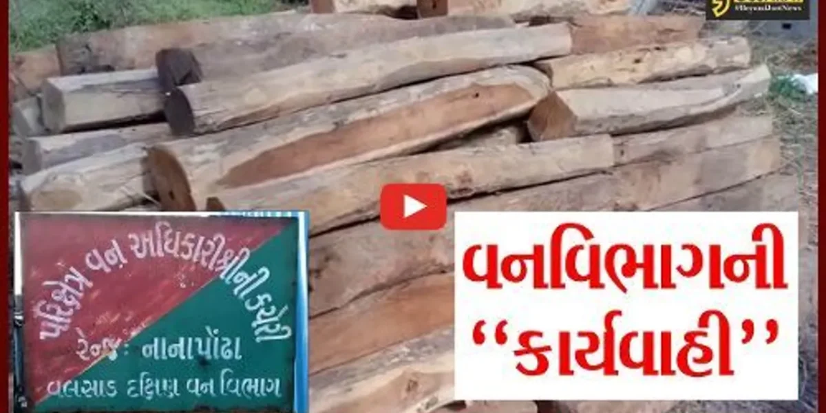 વલસાડ : મોટી વહિયાળ ગામેથી વન વિભાગે રૂ. 2.90 લાખના સાગી લાકડાનો જથ્થો ઝડપી લેતા પુષ્પરાજોમાં ફફડાટ…