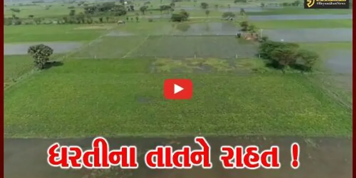 ગીરસોમનાથ: બે સિંચાઈ યોજનામાંથી 39 ગામોને ઉનાળું પિયત માટે પાણી આપવાનો નિર્ણય,ખેડૂતોમાં ખુશીનો માહોલ