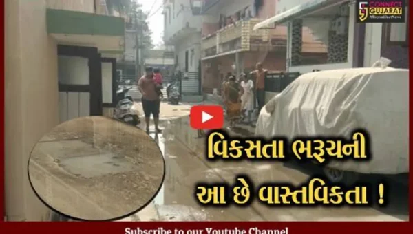 ભરૂચ: ઉભરાતી ગટરના કારણે સ્થાનિકો પરેશાન, ન.પા.તંત્ર ક્યારે કરશે કામગીરી?