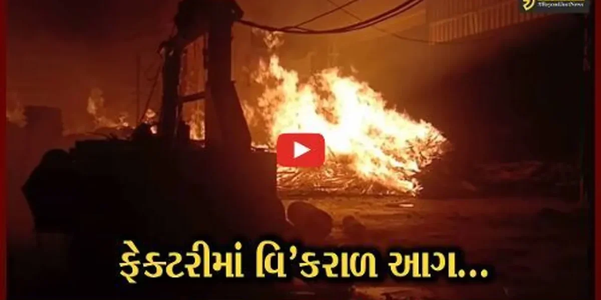 ખેડા : મહેમદાવાદની પ્લાયવુડ ફેક્ટરીમાં ફાટી નીકળી ભીષણ આગ, ફાયર ફાઇટરો દોડ્યા…