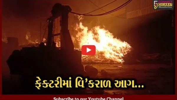 ખેડા : મહેમદાવાદની પ્લાયવુડ ફેક્ટરીમાં ફાટી નીકળી ભીષણ આગ, ફાયર ફાઇટરો દોડ્યા…