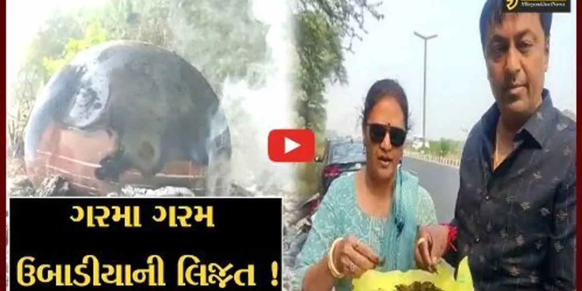 ભરૂચ અંકલેશ્વર રોડ પર ઉબાડિયાના ફૂડ સ્ટોલ શરૂ, લોકો માણી રહ્યા છે લિજ્જત