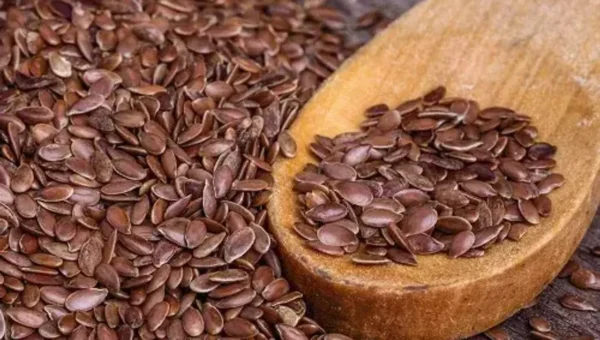 ડાયાબિટીસ સહિતની સમસ્યાઓમાં અળસીનું સેવન અસરકારક છે, જાણો તેના 5 ફાયદા