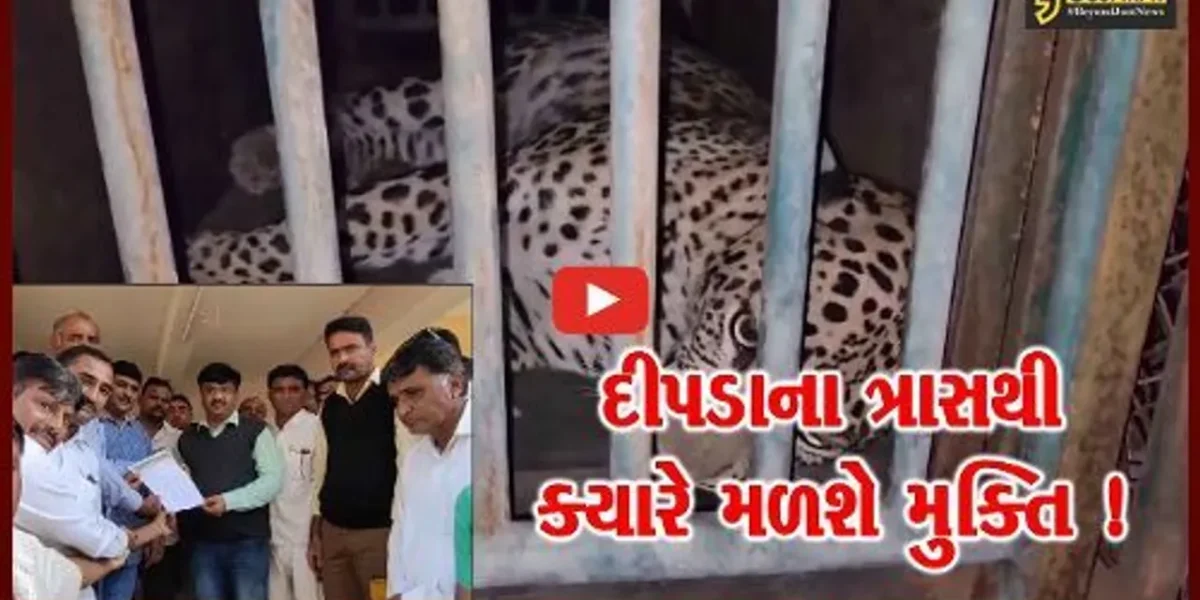 ગીરસોમનાથ: દીપડાઓના ત્રાસથી છૂટકારો અપાવવા ગ્રામજનોએ સરકારને કરી રજૂઆત