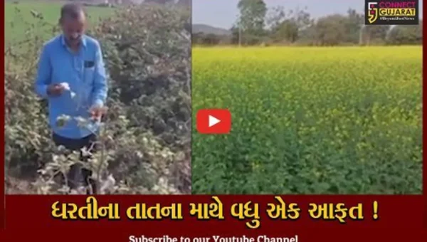 સાબરકાંઠા: વાદળછાયા વાતાવરણ વચ્ચે ખેતીના પાકને વ્યાપક નુકશાનની શક્યતા, ખેડૂતો ચિંતામાં ગરકાવ