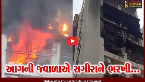 અમદાવાદ : શાહીબાગમાં ઓર્ચિડ ગ્રીન ફ્લેટના 7 માળે ફાટી નીકળી ભીષણ આગ, 15 વર્ષીય કિશોરીનું મોત…