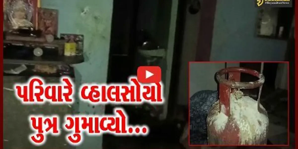વડોદરા : ગેસ સિલિન્ડરમાં બ્લાસ્ટ થતા માતા-પુત્ર ગંભીર રીતે દાઝ્યા, 3 વર્ષીય બાળકનું સારવાર દરમ્યાન મોત…